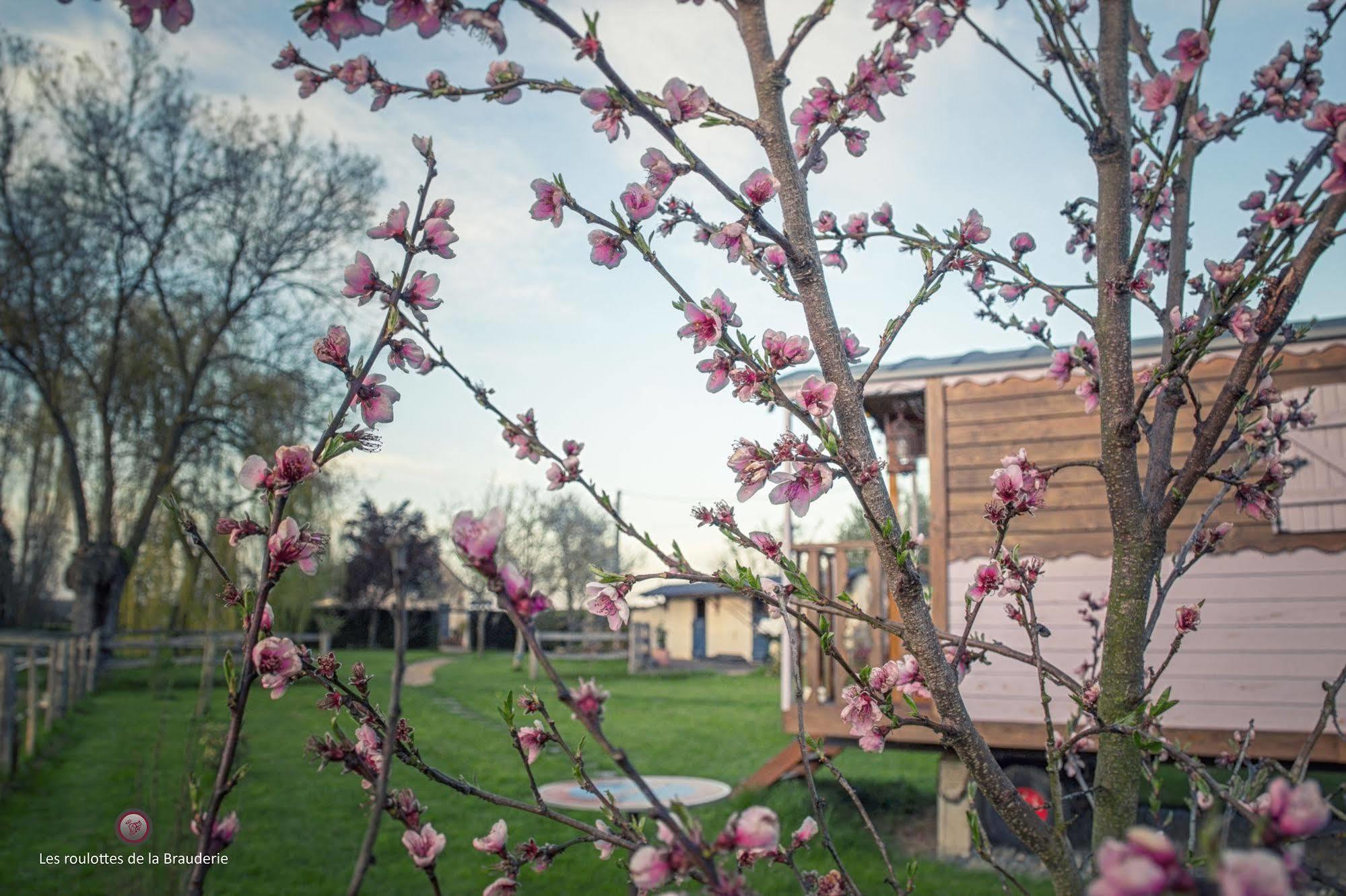 Les Roulottes De La Brauderie Villa Brissarthe Kültér fotó